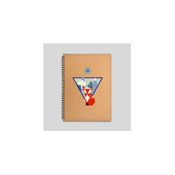 Lot de 3 carnets