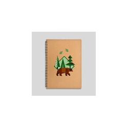 Lot de 3 carnets