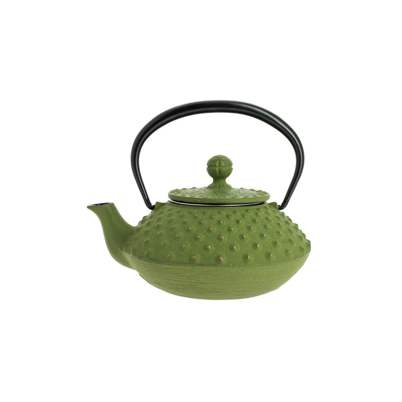 Théière en fonte Iwachu